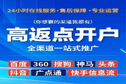 竞价排名案例：优化广告预算分配
